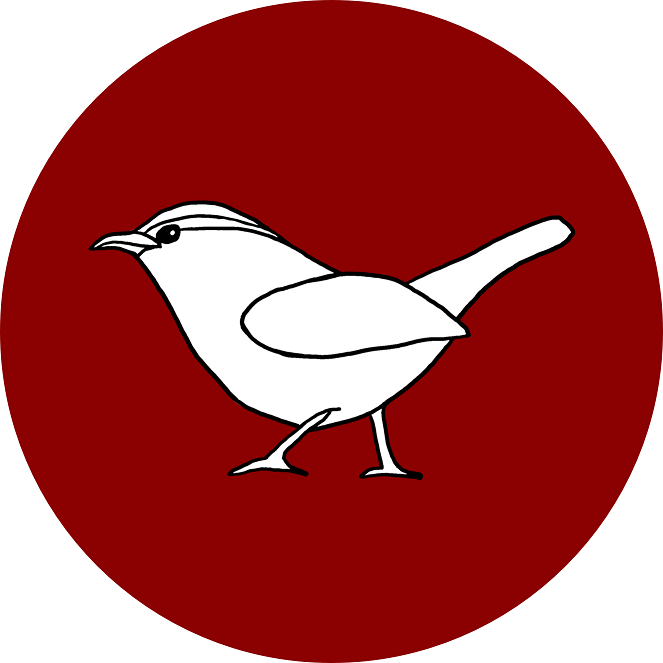 a white Carolina Wren in a dark red circle